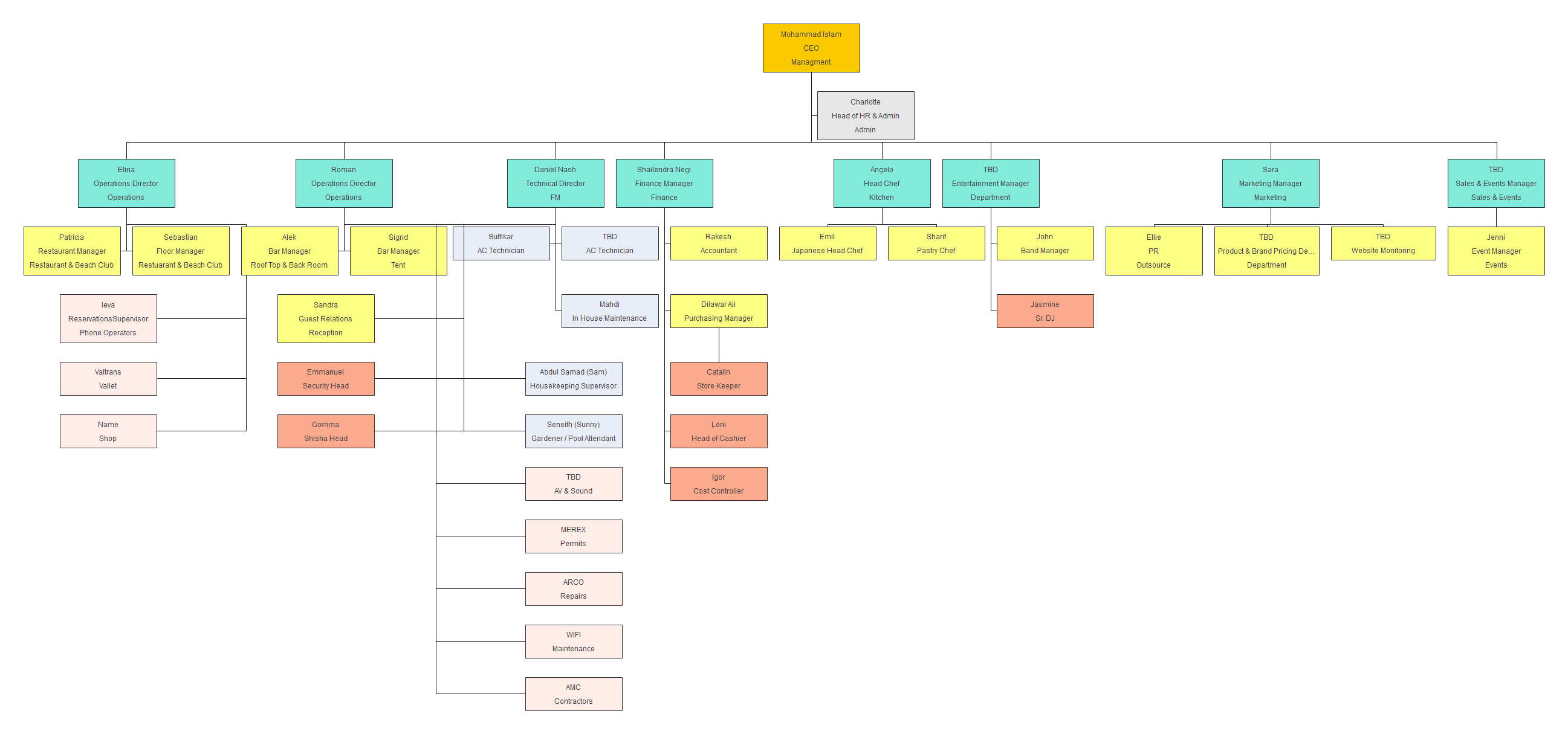 functional-organization-chart-template