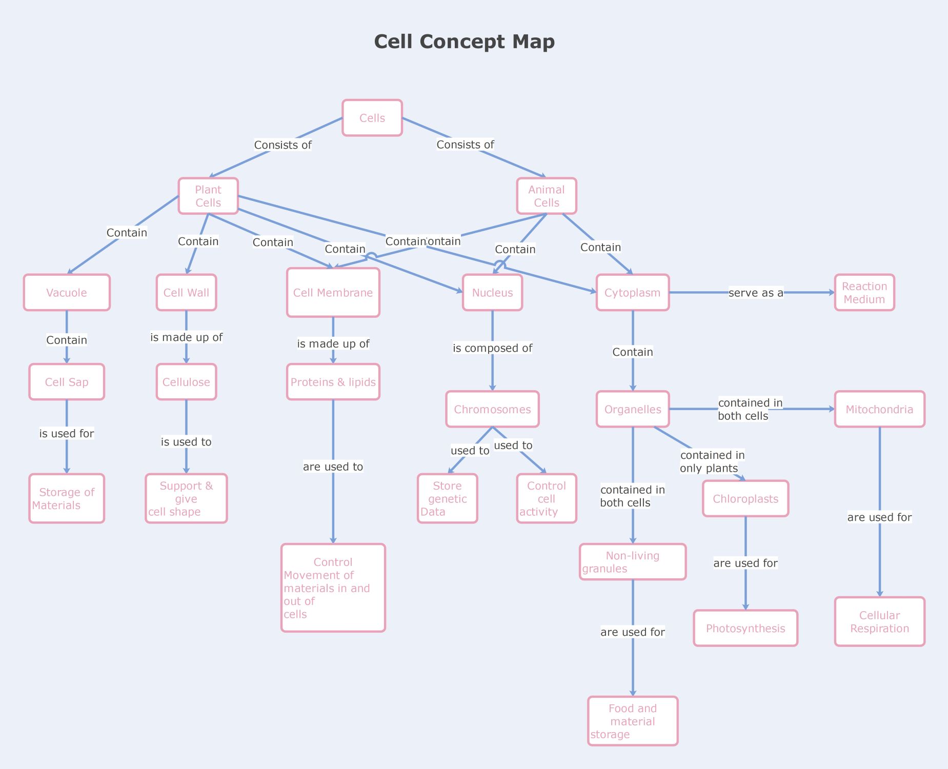 Cell Concept Map